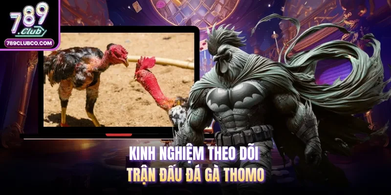 Kinh nghiệm theo dõi trận đấu đá gà Thomo