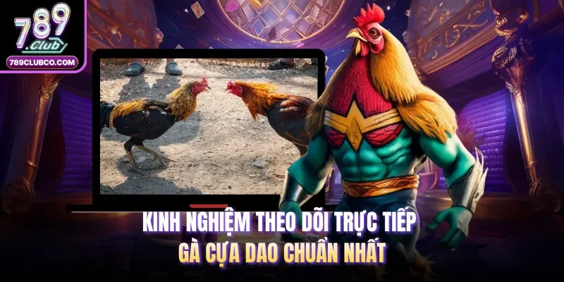 Kinh nghiệm theo dõi trực tiếp gà cựa dao chuẩn nhất
