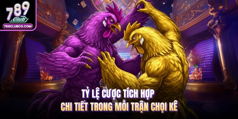 Tỷ lệ cược tích hợp chi tiết trong mỗi trận chọi kê